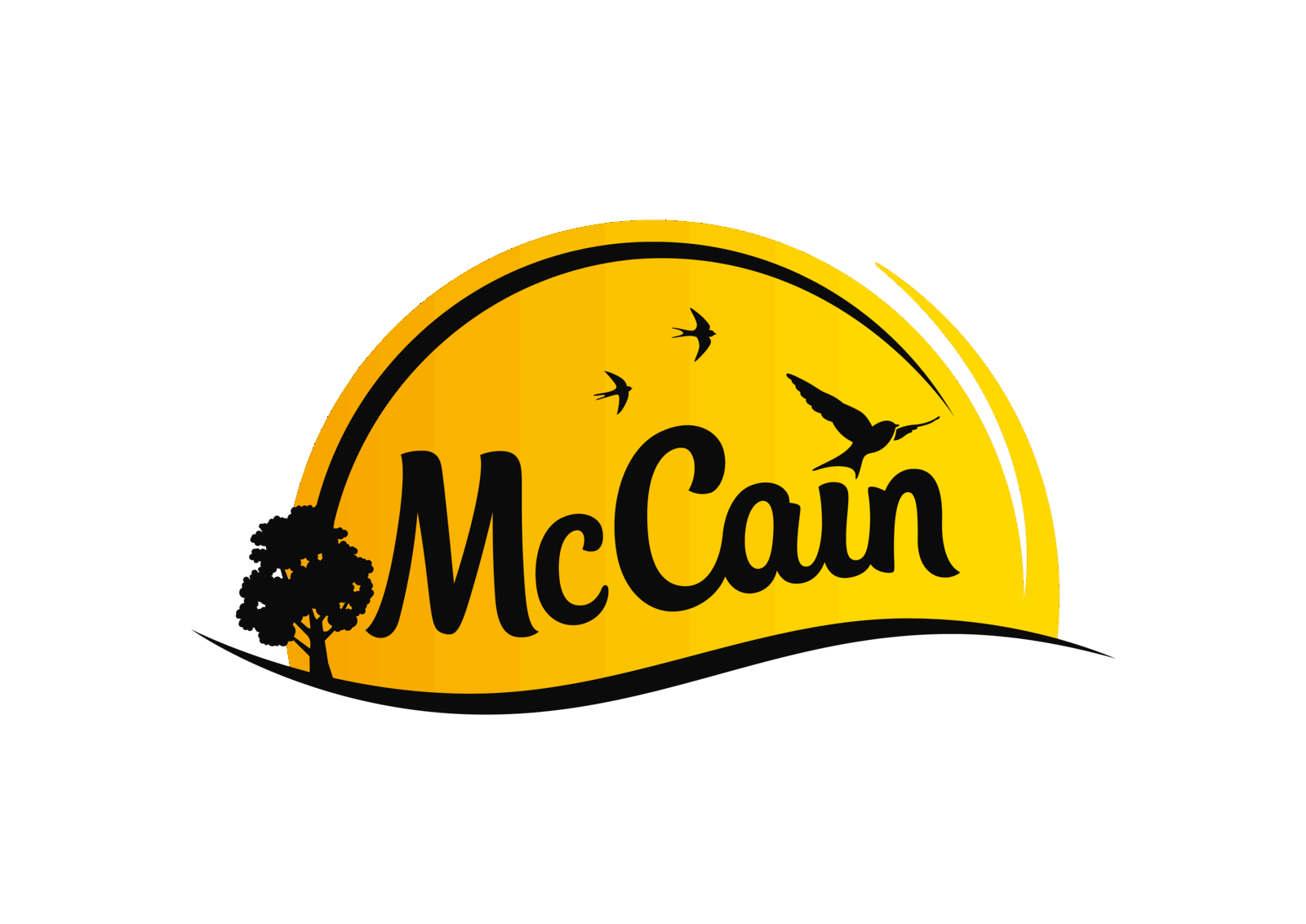 Logo McCain